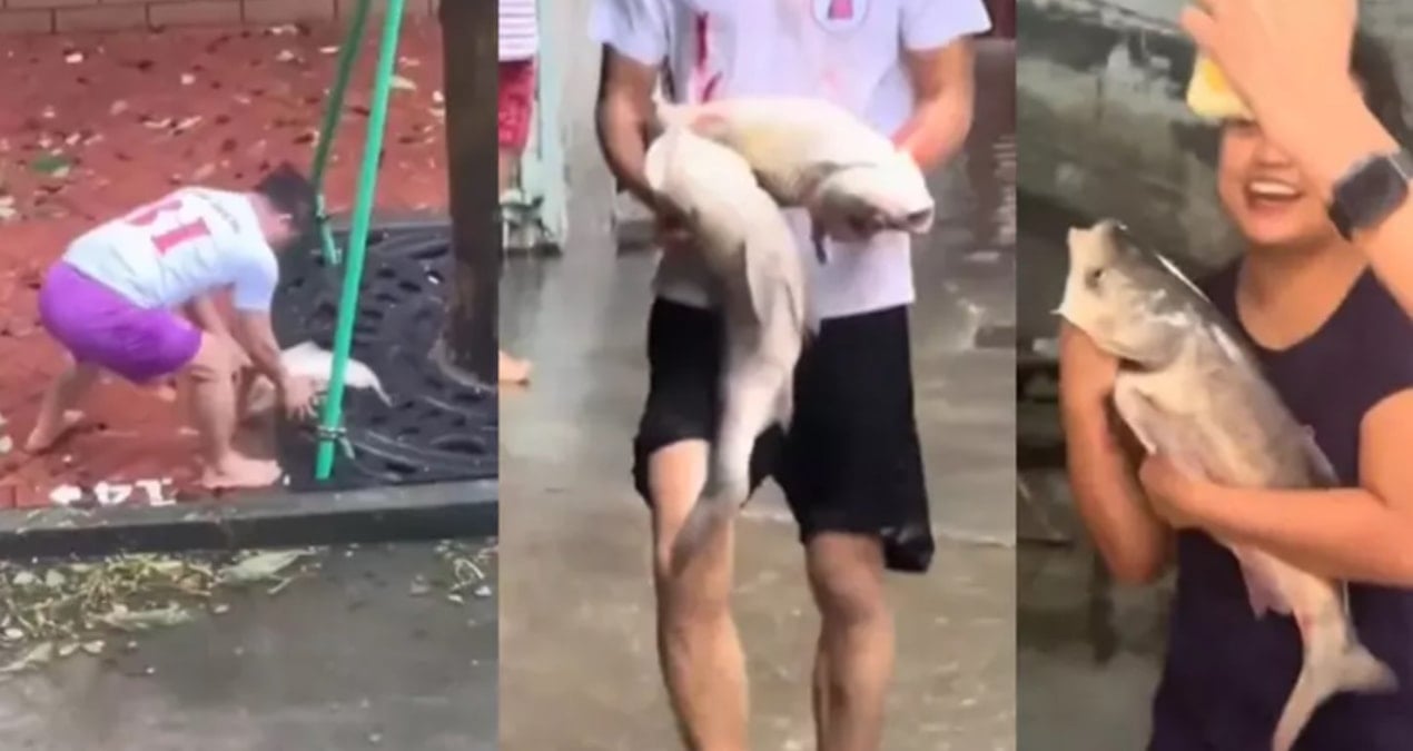 sokaklar balikla doldu kocaman baliklari kucaklayip eve goturduler 2DqUufIN