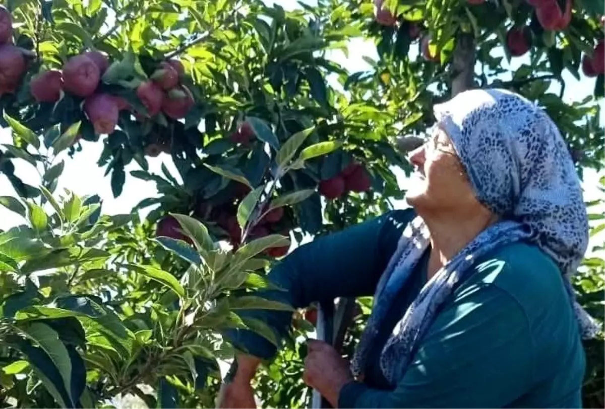 beysehirde elma hasadi basladi golyaka mahallesi umut veriyor zStWpmxU