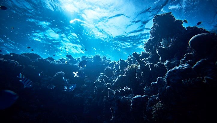 okyanusun altindan siziyor antarktikada sasirtan kesif puhipWBV