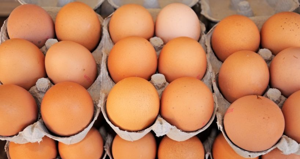 yumurta krizi kapida uretimde sert dusus EEL1RmHQ.jpg