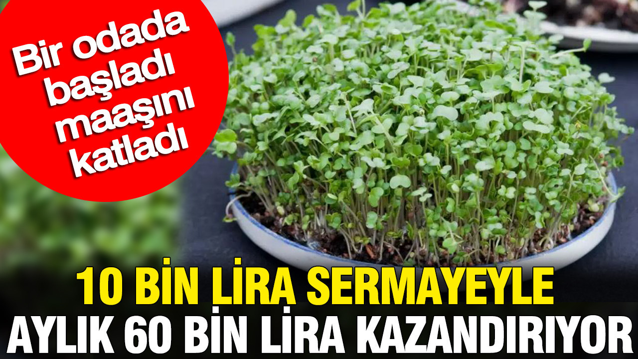 10 bin lira sermayeyle aylık 60 bin lira kazandırıyor: Bir odada başladı maaşını katladı Img